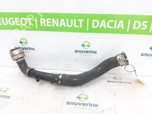 Other RENAULT CAPTUR II (HF_) TCe 140 (HFN0) | BP21194210O1