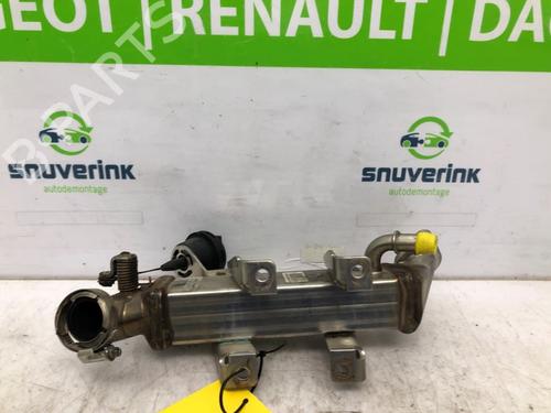 Egr RENAULT MASTER III Van (FV) 2.3 dCi 125 FWD (FV0C, FV0D, FV0G, FV0H, FV0J, FV0K) | BP16365051M69 