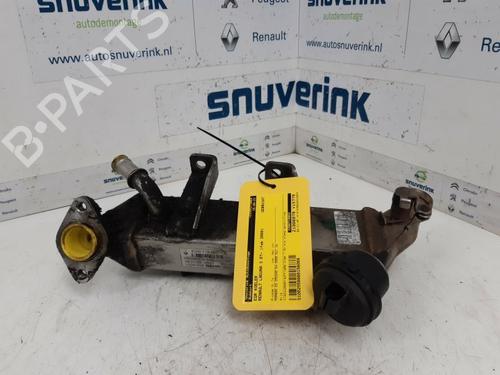 Used Egr RENAULT LAGUNA III Grandtour (KT0/1) 2.0 dCi (KT0M, KT0N, KT0S, KT19, KT1F) (173 hp) 10799161