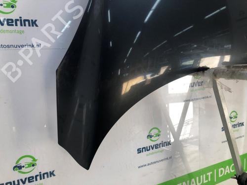 Hood RENAULT SCÉNIC III (JZ0/1_) 1.5 dCi | BP24841344C1 