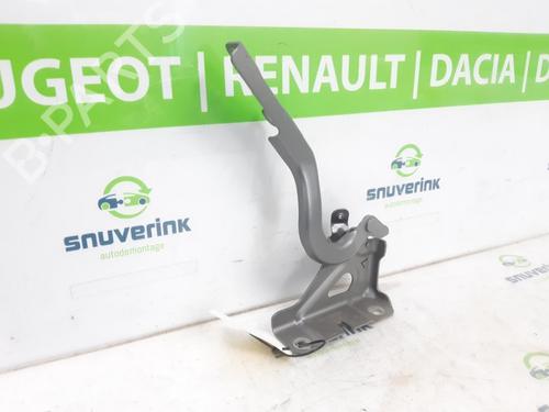 Hinge/Door check strap RENAULT CAPTUR II (HF_) TCe 90 (HFM6) | BP24160254C146 