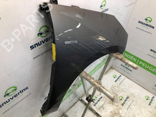 Right front fenders RENAULT SCÉNIC III (JZ0/1_) 1.2 TCe | BP24988620C42 