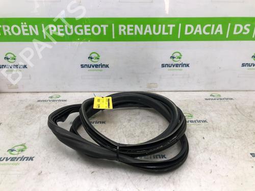 Gummiliste RENAULT TWINGO III (BCM_, BCA_) 1.0 SCe 70 (71 hp) 24477120