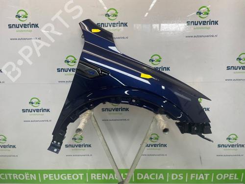 Used Right front fenders RENAULT ARKANA I (LCM_, LDN_) 1.6 E-TECH 145 (LDMU) (143 hp) 26489223
