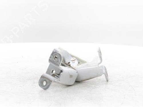 hingedoor-check-strap-renault-trafic-iii-van-fg_-2014-34423598 main image