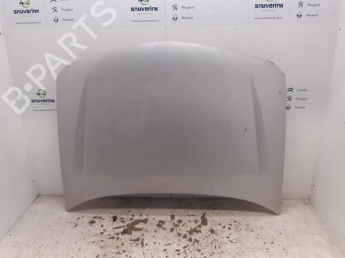 Used Hood RENAULT LAGUNA II (BG0/1_) 1.9 dCi (BG1A, BG1V) (130 hp) 21179006