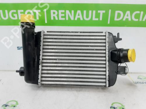 Intercooler RENAULT CAPTUR II (HF_) TCe 100 (HFMT) | BP24160211M30 