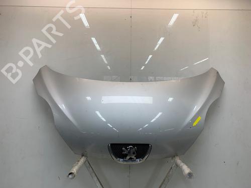 Panser PEUGEOT 107 (PM_, PN_) 1.0 (68 hp) 30757653