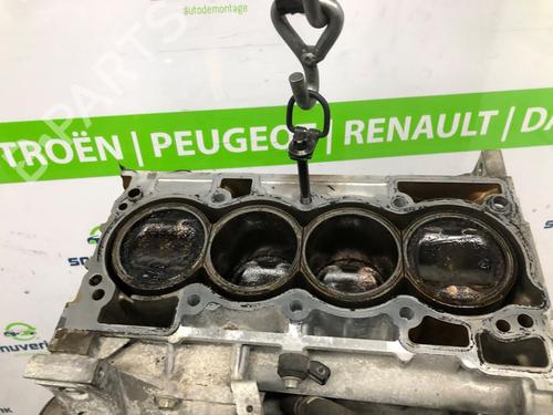 Other RENAULT SCÉNIC III (JZ0/1_) 2.0 16V (JZ0G, JZ0P, JZ1E, JZ1P) | BP16365049O1 