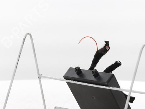 Elektronisk modul RENAULT TWINGO III (BCM_, BCA_) 1.0 SCe 70 | BP30758673M83 