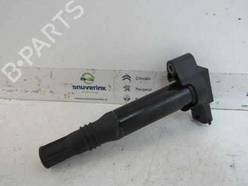ignition-coil-citroen-c3-ii-sc_-2009-40566085 main image