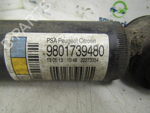 Left rear shock absorber CITROËN C3 II (SC_) 1.6 HDi | BP25526852M18 - Image 2