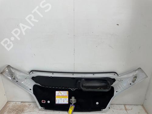 Hood FIAT DUCATO Van (250_) 130 Multijet 2,3 D | BP29640393C1 