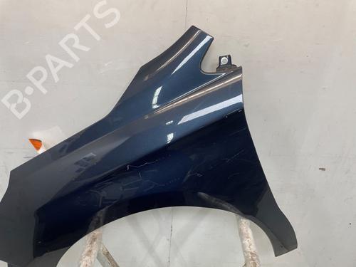 Left front fenders CITROËN C4 II (NC_) 1.6 HDi 115 | BP29899506C41