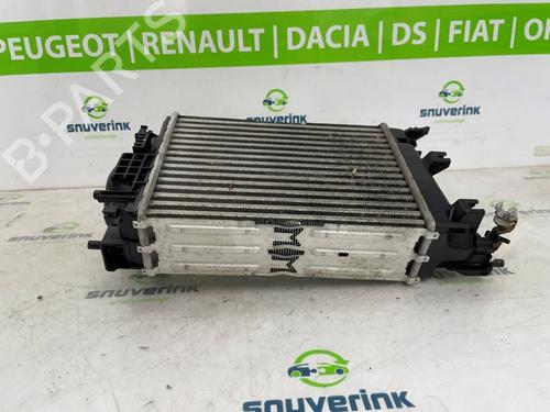 Intercooler RENAULT MEGANE IV Hatchback (B9A/M/N_) 1.6 TCe 205 (B9MV) | BP25829036M30  - Image 5