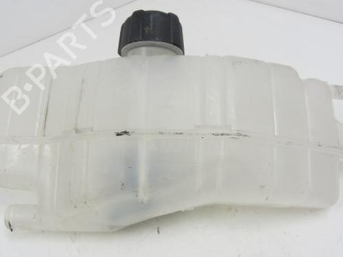 Używane Zbiornik wyrównawczy RENAULT CLIO III (BR0/1, CR0/1) 1.2 16V (BR02, BR0J, BR11, CR02, CR0J, CR11) (75 hp) 21110108