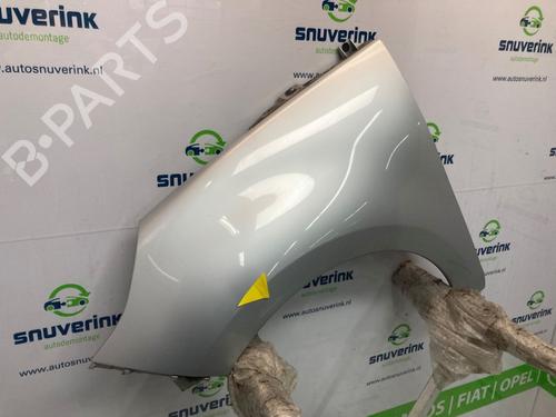 Left front fenders RENAULT SCÉNIC III (JZ0/1_) 1.5 dCi | BP21544533C41 