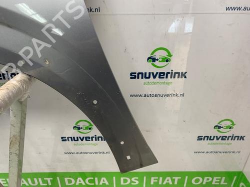 Left front fenders PEUGEOT 208 II (UB_, UP_, UW_, UJ_) e-208 | BP25828990C41 