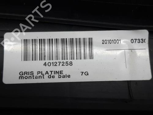 Other RENAULT SCÉNIC III (JZ0/1_) 1.4 16V (JZ0F, JZ1V) | BP13191497O1 