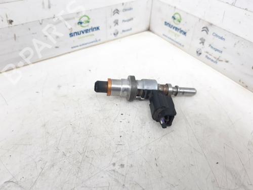Injector RENAULT MEGANE III Hatchback (BZ0/1_, B3_) 1.5 dCi (BZ0C) | BP30185239M100