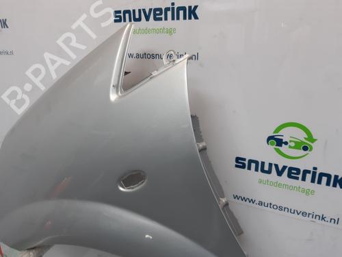 Left front fenders CITROËN C3 Pluriel (HB_) 1.4 | BP21195630C41 
