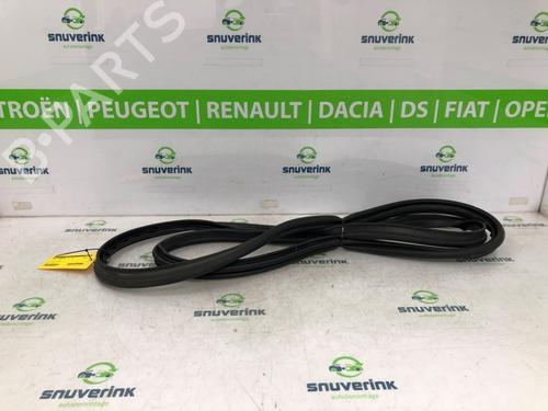 Rubber door seal RENAULT ARKANA I (LCM_, LDN_) 1.3 TCe 160 (LDN1) | BP20158556C142 