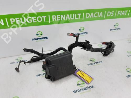 Used Fuse box FIAT DOBLO Cargo (263_) 1.3 D Multijet (90 hp) 15795905