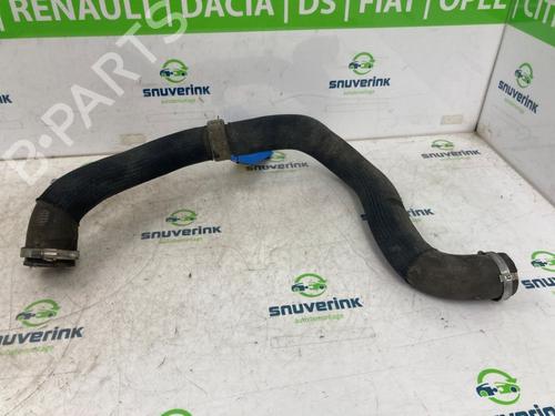 Other PEUGEOT EXPERT Van (V_) 2.0 BlueHDi 120 | BP22395935O1