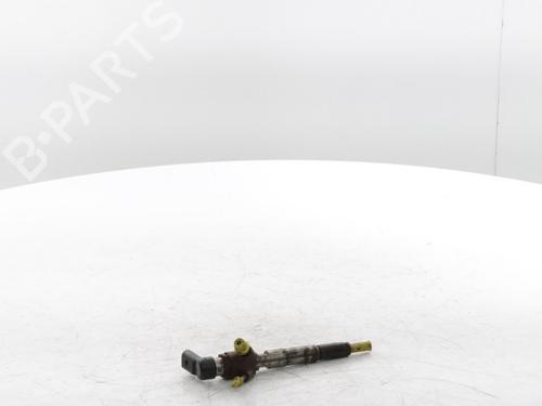 Injector RENAULT MEGANE IV Grandtour (K9A/M/N_) 1.5 dCi 110 | BP29426995M100