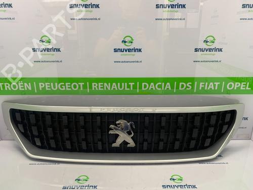 Used Grille Grille 10800907 10800907