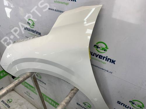 Left front fenders PEUGEOT 208 II (UB_, UP_, UW_, UJ_) 1.2 PureTech 75 | BP25884927C41 