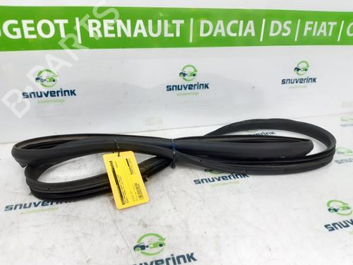 Gummiliste RENAULT TWINGO III (BCM_, BCA_) 1.0 SCe 70 (71 hp) 24165593