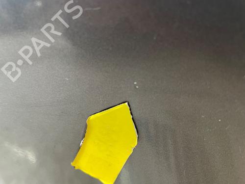 Right rear door RENAULT CLIO IV (BH_) 1.5 dCi 90 | BP25902202C5 