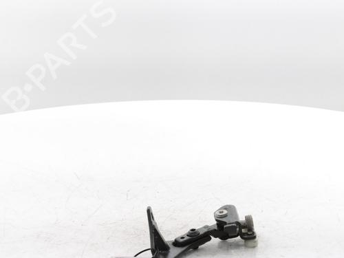 Hinge/Door check strap FIAT DUCATO Van (250_) 120 Multijet 2,2 D | BP29426647C146 