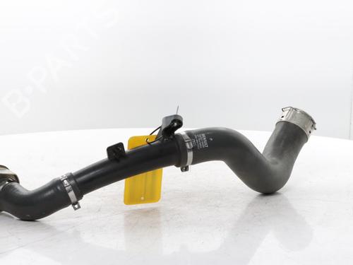 Intercooler pipe RENAULT ARKANA I (LCM_, LDN_) 1.3 TCe 140 (LDN0) | BP34564925M127  - Image 5