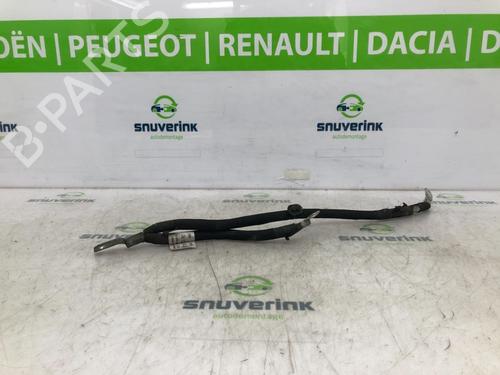 Used Cable CITROËN C3 II (SC_) 1.6 HDi (92 hp) 23122830