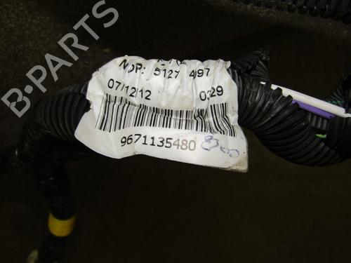Wiring harness PEUGEOT PARTNER Tepee 1.6 HDi 90 | BP24162308E16 