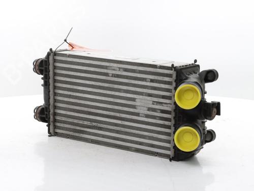 Intercooler DS DS 3 / DS 3 CROSSBACK (UR_, UC_, UJ_) 1.2 PureTech 130 (URHNSS) | BP40265979M30 - Image 7