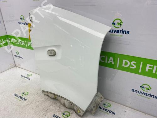 Right front fenders RENAULT MASTER II Van (FD) 2.5 dCi | BP17764013C42 
