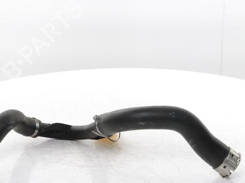 Other RENAULT CLIO V (B7_) 1.0 TCe 100 (B7MT) | BP29640876O1