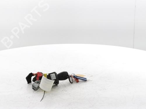 Ignition barrel OPEL MOVANO B Platform/Chassis (X62) 2.3 CDTI FWD (EV, HV, UV) | BP29640594M48 