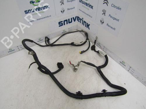 Used Wiring harness PEUGEOT 206+ (2L_, 2M_) 1.4 i (73 hp) 24162453