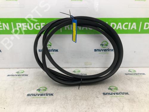 Used Rubber door seal PEUGEOT 107 (PM_, PN_) 1.0 (68 hp) 24166953