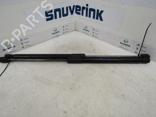 Used Tailgate lift support RENAULT MEGANE III Grandtour (KZ0/1) 1.5 dCi (KZ09, KZ0D, KZ1G, KZ29, KZ14, KZ1W, KZ10, KZ1F,... (110 hp) 13188610