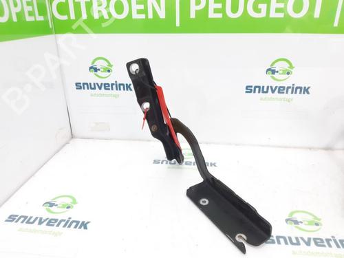 hingedoor-check-strap-citroen-jumpy-ii-van-2007-2008-2009-2010-2011-2012-2013-2014-2015-2016-23122766 main image