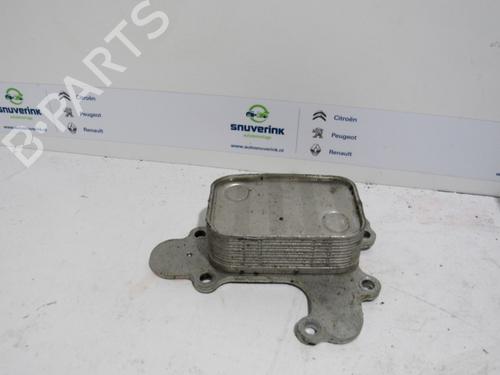 Oliekøler PEUGEOT 3008 II SUV (MC_, MR_, MJ_, M4_) 1.2 THP/ PureTech 130 (MRHNSM, MRHNSU, MRHNSJ, MRHNYW,... (131 hp) 10798660