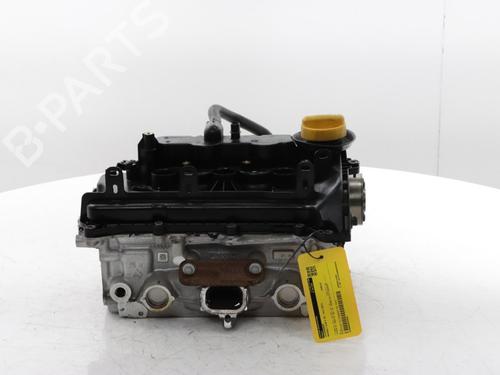Used Cylinder head RENAULT CLIO V (B7_) 1.0 TCe 90 (B7MT) (91 hp) 29827937