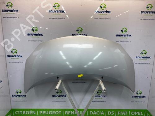 hood-renault-twingo-ii-cn0_-12-cn0d-7751477649-651003355r-2007-22393152 main image