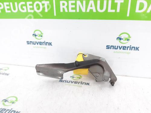 Used Hinge/Door check strap RENAULT MEGANE III Grandtour (KZ0/1) 1.5 dCi (KZ09, KZ0D, KZ1G, KZ29, KZ14, KZ1W, KZ10, KZ1F,... (110 hp) 23123043