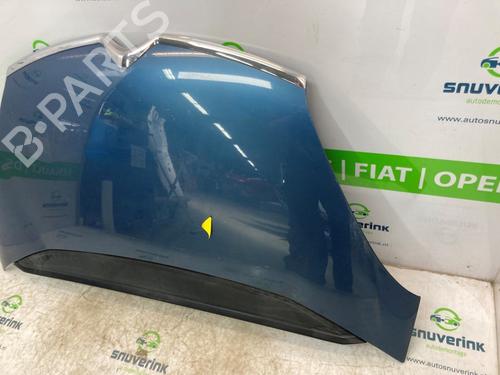 Hood CITROËN C4 Picasso I MPV (UD_) 1.6 HDi 110 | BP21193987C1 
